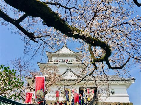 Yugawara Ancient Relics Hot Springs And The Deep Blue Sea Japonica Info