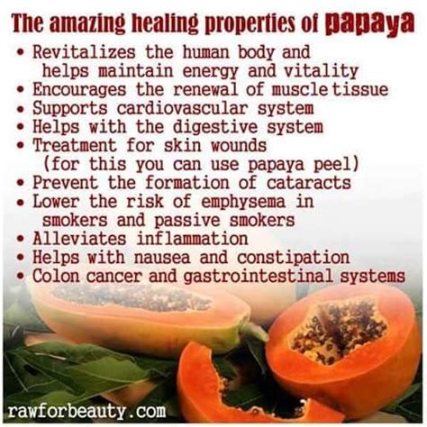 Health Benefits Of Papaya Benefits Of Organic Food Health And