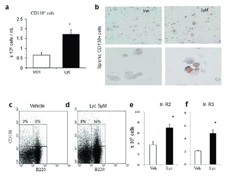 Splenic B Cell Differentiation Induced By Lycopene Splenic Cells