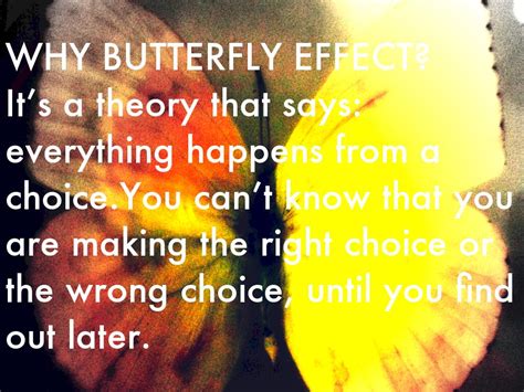 Butterfly Effect By Manuel Florio