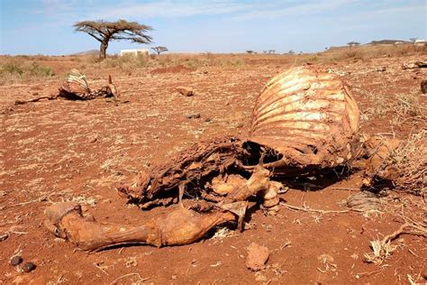 Drought Situation In Kenya Asals At Crisis Level Lobby Nation