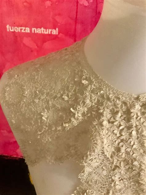 Antique Collar Lace Edwardian Collar Gem