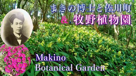 【高知旅① 牧野富太郎 生誕地とゆかりの植物 牧野植物園】makino Botanical Garden Shikoku Japan佐川