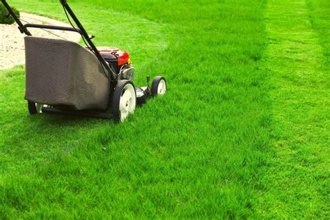 Lawn Mowing | Lawn Cutting, Reel Cutting or Rotary Style