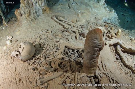 Skulls From The Yucatan Peninsula A Clue To Early American Settlers