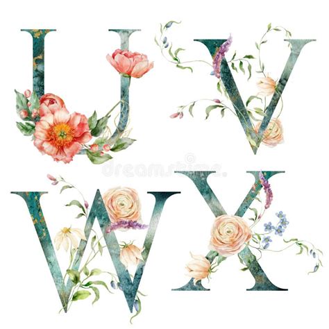 Watercolor Floral Letters Set Of U V W X With Plants Hand Drawn