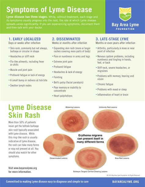 Lyme Disease Symptoms Skin Rash