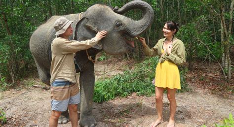 Elephant Wildlife Sanctuary Phuket - Half Day Care - Bon Voyage Thailand