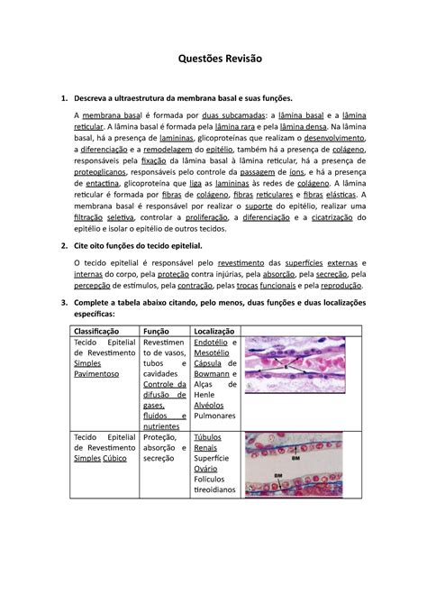 Questões Revisão Histologia Básica Questões Revisão 1 Descreva a