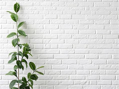 Premium Photo White Brick Wall With Plant