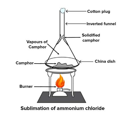 Physical And Chemical Changes Class Dalal Simplified Icse Chemistry