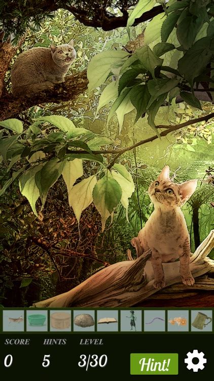 Hidden Object Cats Island By Difference Games