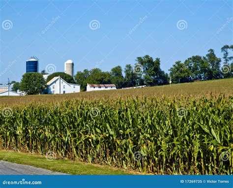 Amish Farm Lancaster Usa Stock Image Image Of Tradition 17269735