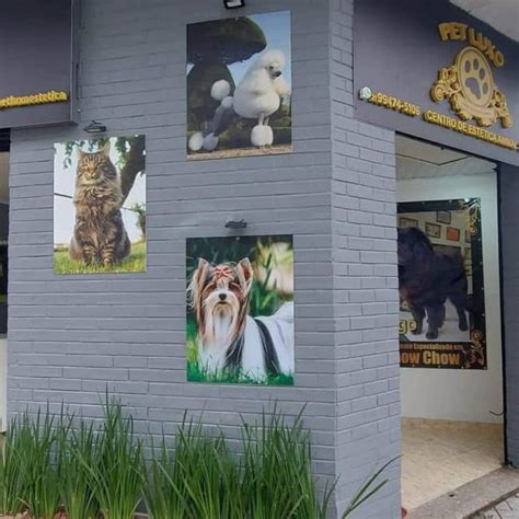 Fachada De Pet Shop 27 Ideias Lindas E Chamativas