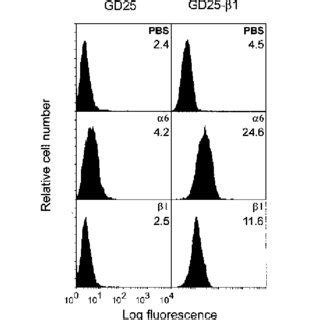 Cell Surface Expression Of Integrin Subunits Of Transfected Gd Cells