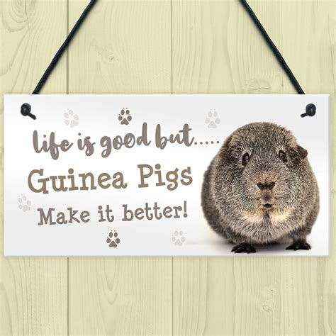 Guinea Pig Sign Handmade Gift Sign For Guinea Pig Owners Cute Pet Gifts