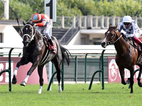 【凱旋門賞 出走見込馬】スノーフォール・タルナワ・アダイヤー・クロノジェネシスら19頭 競馬ニュース Netkeiba