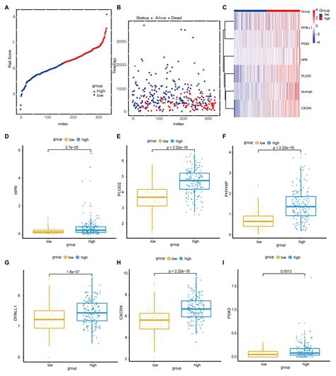 Frontiers A Novel Six Gene Based Prognostic Model Predicts Survival