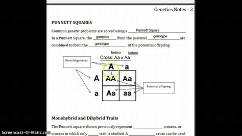 Mendelian Genetics Notes YouTube