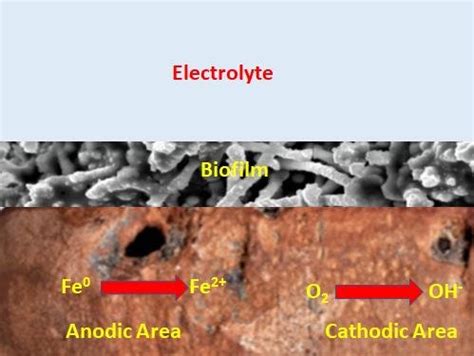 Diagram of pitting corrosion outstanding to the development of an... | Download Scientific Diagram