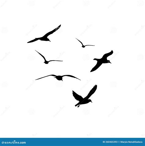 Seagulls Silhouette. Flying Seagulls. Vector Illustration Stock Vector - Illustration of ...