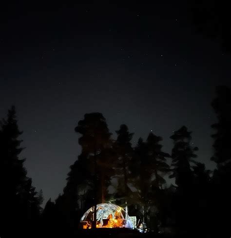 Northern lights - Norwegian Aurora glass igloo in Tromso region ...