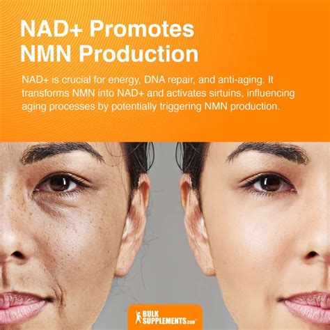 Nmn Vs Nad Which Supplement Boosts Cellular Health Better