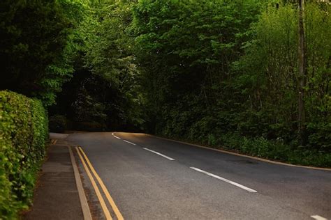 Estrada Asfaltada Entre Rvores Altas Cobertas De Musgo Na Floresta