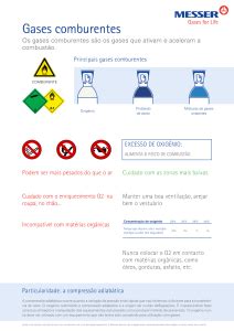 Na Segurança No Transporte De Gases A Granel - Segurança do gás - MesserGas Distribuição de Gases Industriais Lda