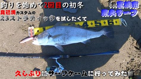 【釣り】初級者アングラー 自己満カスタムの23ストラディックの試投に久しぶりにサーフに行ってみた Youtube