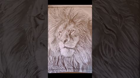 Hyper Realistic Lion Sketch Lion Drawing Pencil Shading Pencil