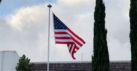 Vídeos De Stock Gratuitos Sobre Al Aire Libre Arboles Asta De Bandera