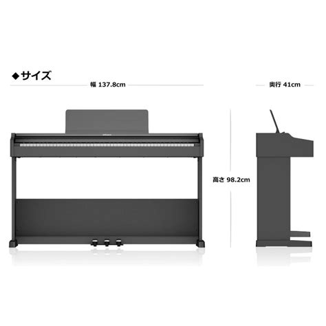 Roland Rp Bk