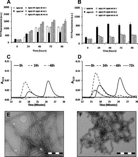 Monomeric A Imparts Kinetic Stability To Protofibrillar A And