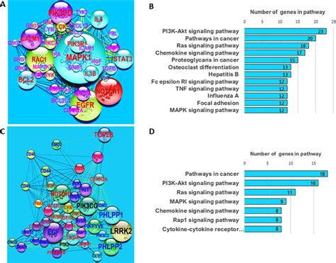 Integrative Network Analysis Of Differentially Methylated And Expressed