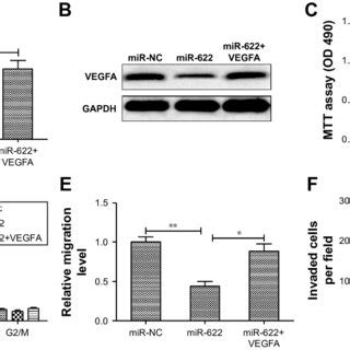 Overexpression Of VegFa Reverses The Tumor Suppressive Effect Of