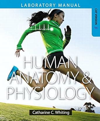 Amazon Human Anatomy Physiology Laboratory Manual Making