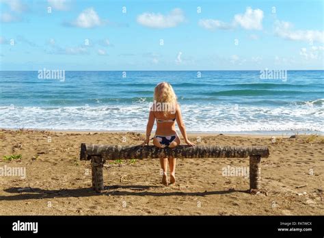 Vista Posterior De La Chica En Bikini Sentada En Madera Banqueta De Palm En La Playa Y Mirando