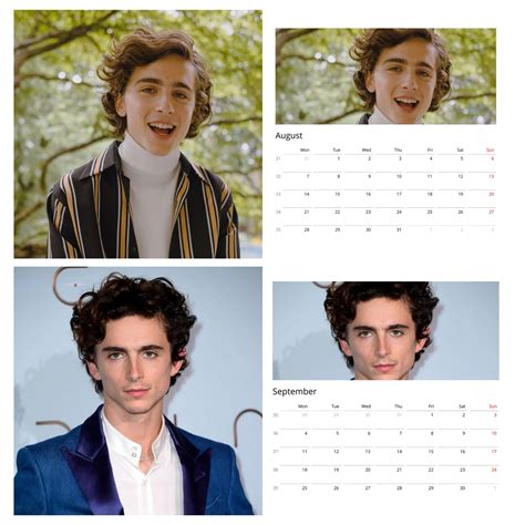 Timothee Chalamet Calendar 2024 Perl Trixie