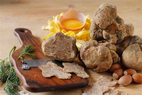 White Truffle Mushroom Price Arad Branding