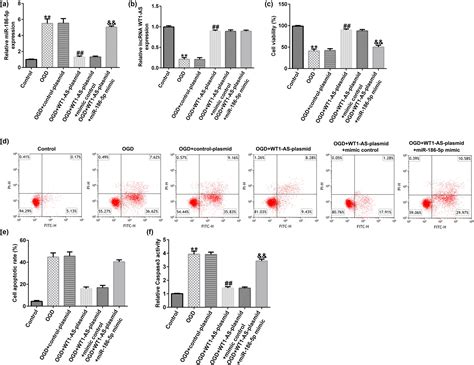 Lncrna Wt As Attenuates Hypoxia Ischemia Induced Neuronal Injury