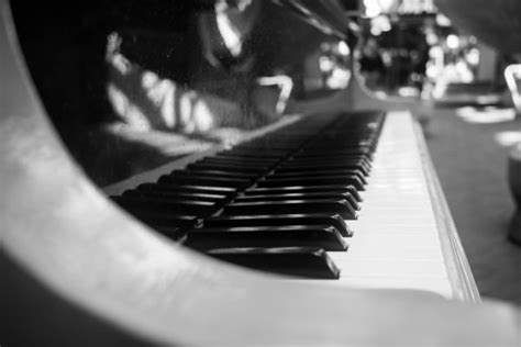 Free Images Musical Instrument Black And White Monochrome