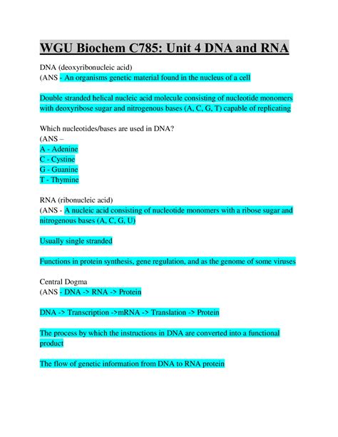 WGU Biochem C785 Unit 4 DNA And RNA Latest Updated Browsegrades