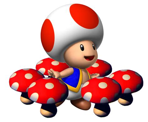 Image Sm64ds Toad Png Fantendo The Nintendo Fanon Wiki