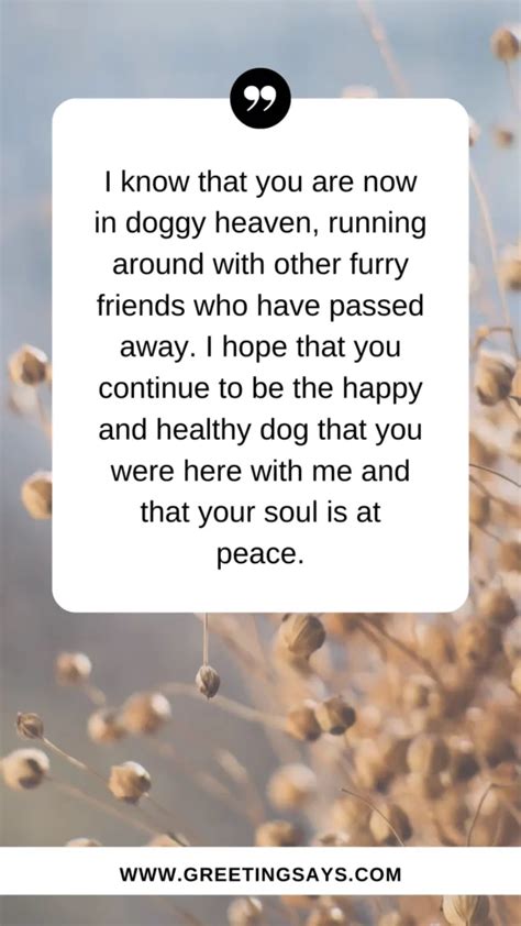 Goodbye Message To My Dog Quotes Greeting Says