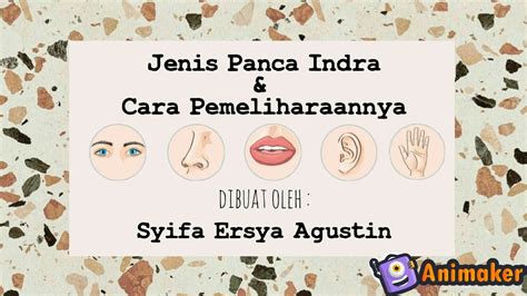 Jenis Panca Indra Dan Cara Pemeliharaannya Youtube