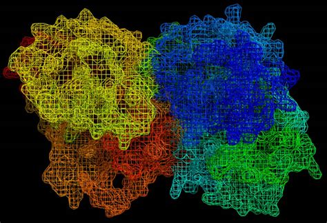 Tubulin Esthetics - Famous Proteins in Frames