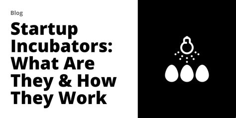 Startup Incubators What Are They How They Work And The Top 5