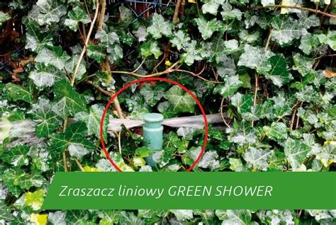 Zraszacz Liniowy Green Shower Galeria Zdj Instalacjebudowlane Pl