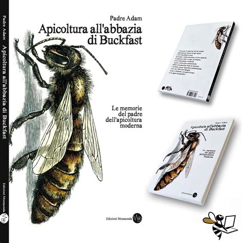 Apicoltura All Abbazia Di Buckfast Il Libro Di Padre Adam Ughetto